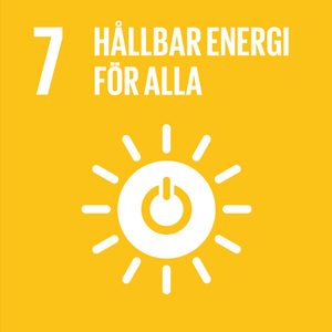 Globala målen 7
