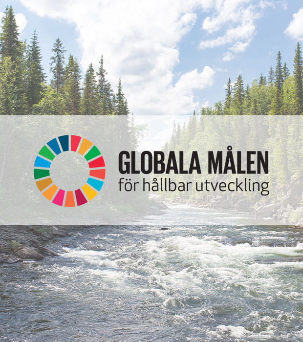 17 Globala målen
