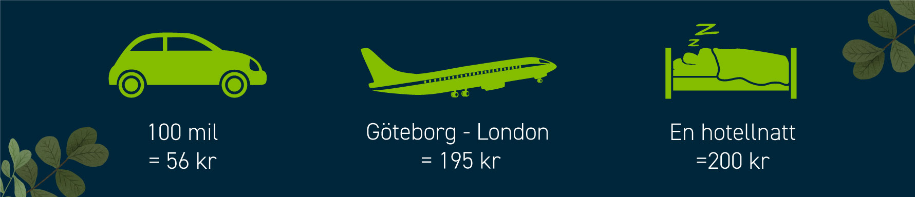 bil flyg hotell