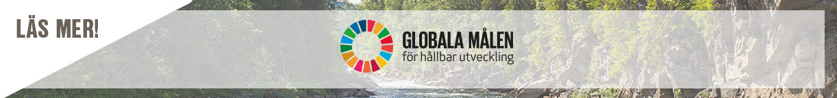 17 globala målen 