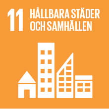 11 - Globala målen