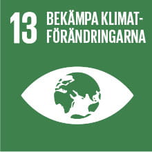 13 - Globala målen