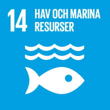 14 - Globala målen