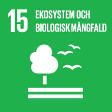 15 - Globala målen