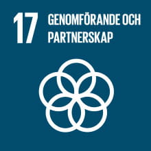 17 - Globala målen