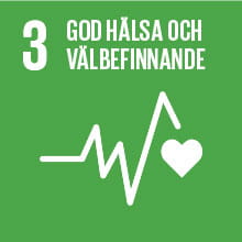 3 - Globala målen