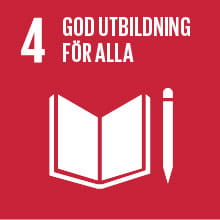 4 - Globala målen