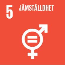 5 - Globala målen