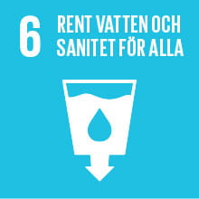 6 - Globala målen