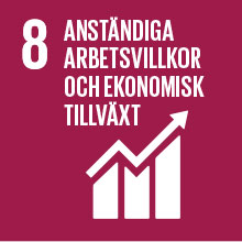 8 - Globala målen
