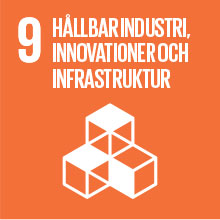 9 - Globala målen