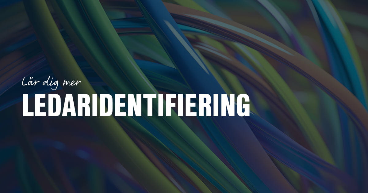 Ledaridentifiering