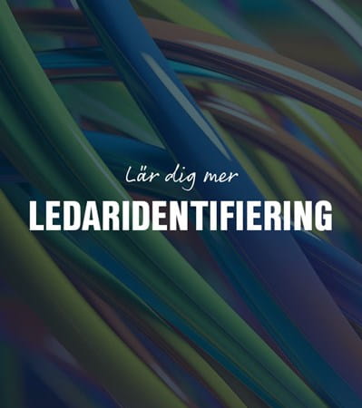 Ledaridentifiering