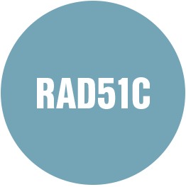 Kübler RAD51C