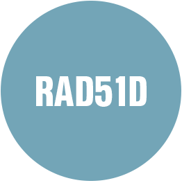 Kübler RAD51D