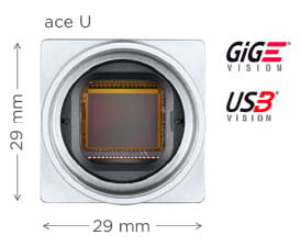 Ace U