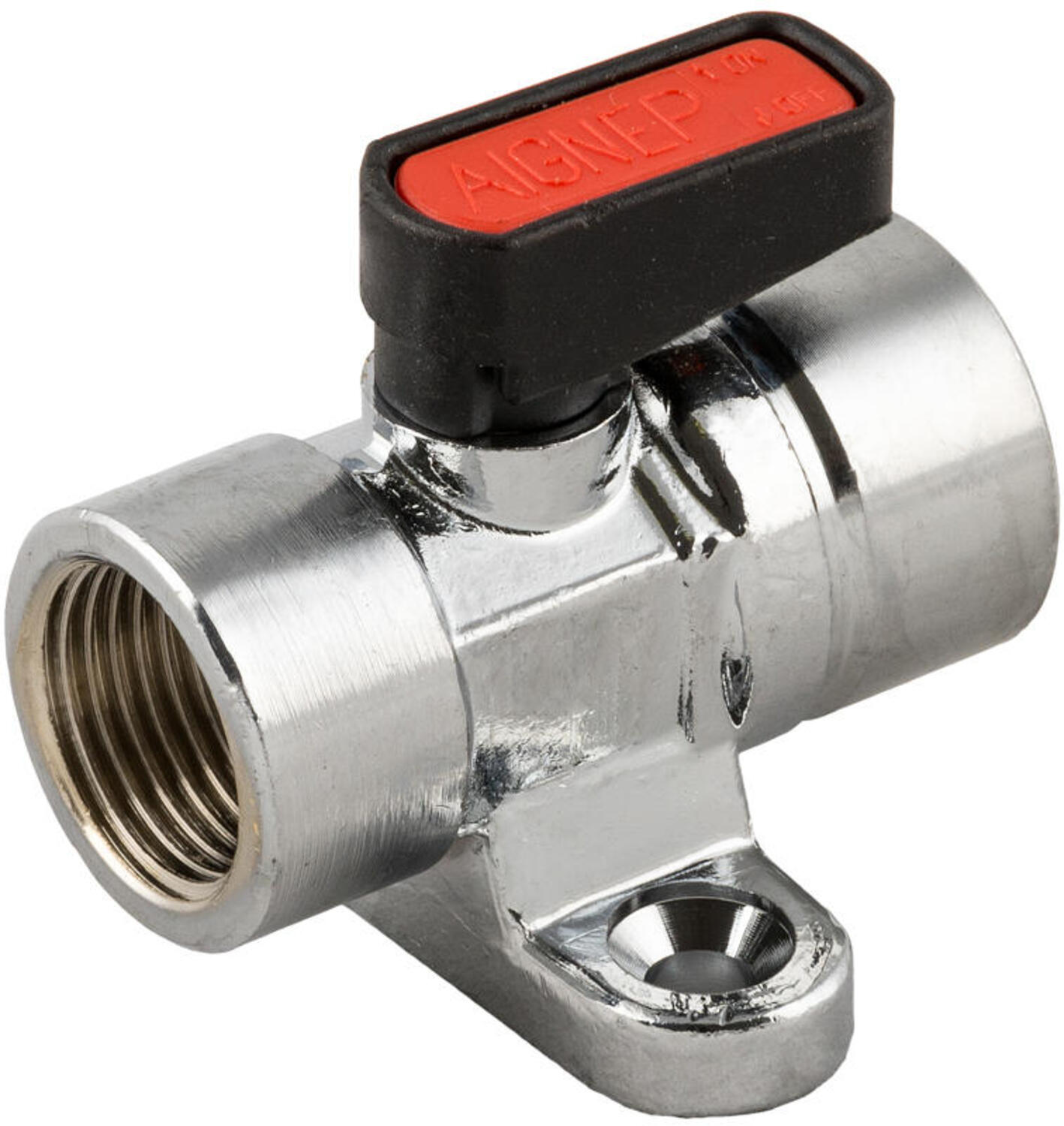6490 AIGNEP.jpg