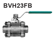 bvh23FBitem.PNG