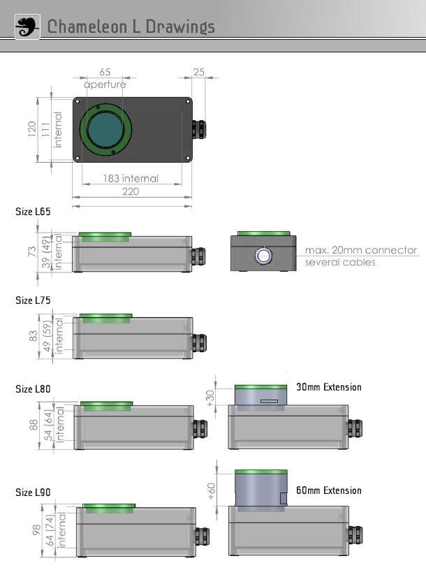 Chameleon L dim.JPG