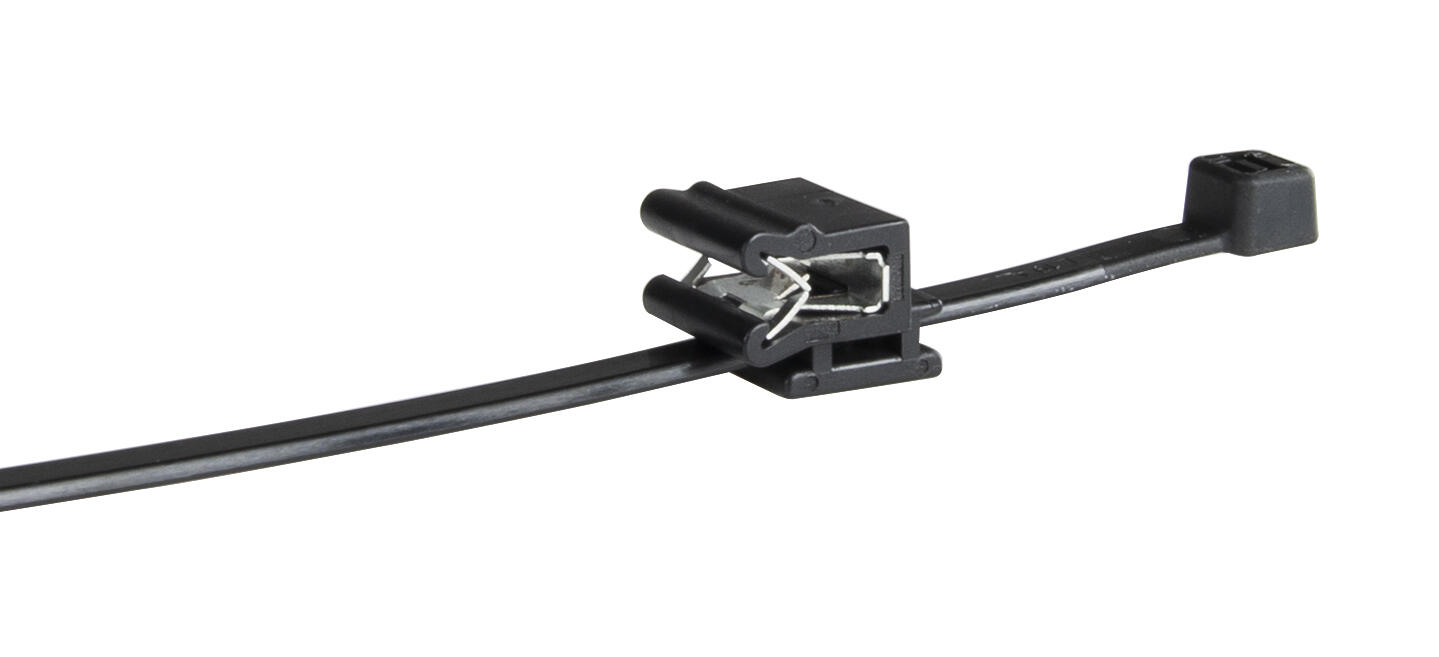 edge_clips_Partex.tif
