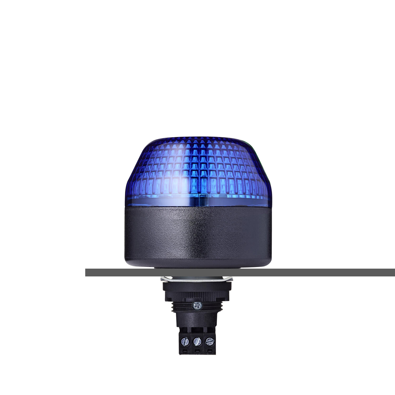 IxL_blue_black