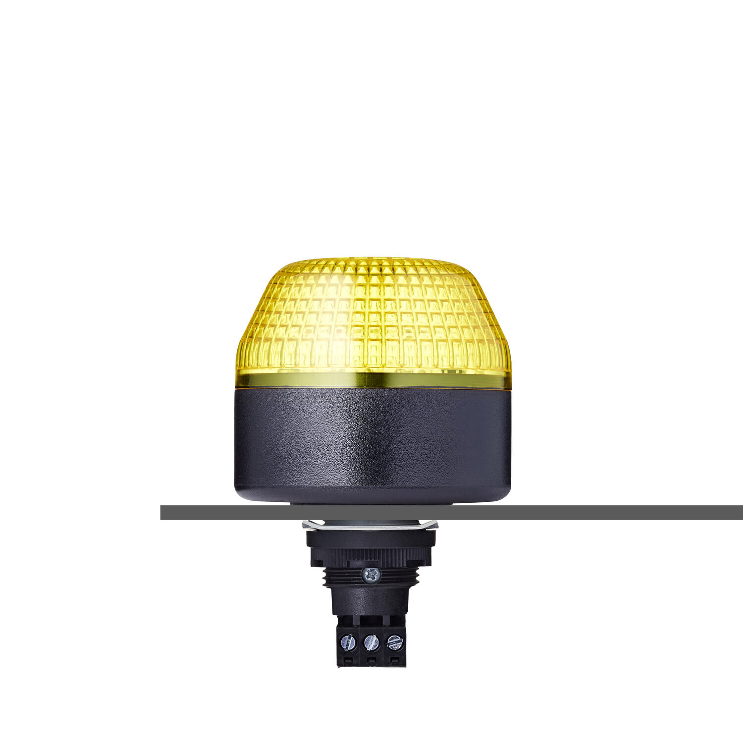 IxL_yellow_black