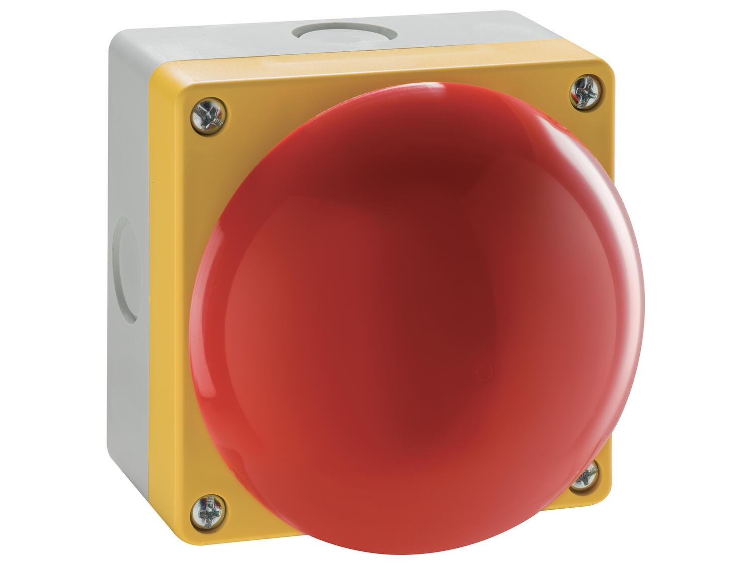 LP9P02R.jpg