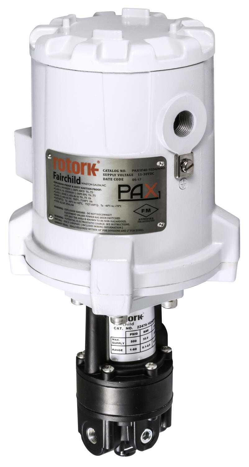 PAX1F40.tif