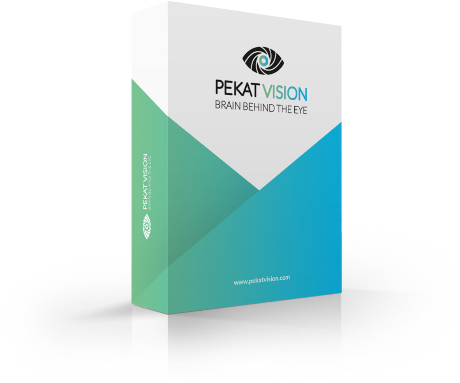 PEKAT VISION.png