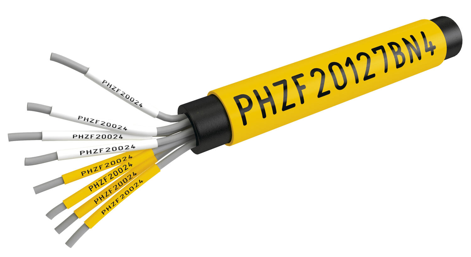 PHZF_foto3.tif