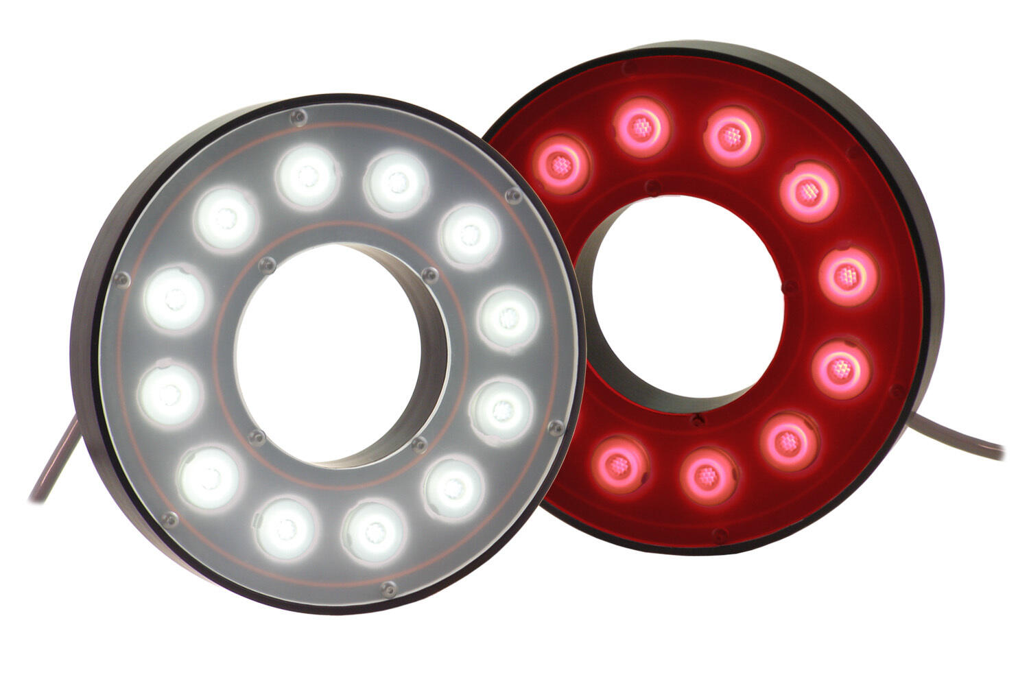 RL113s
