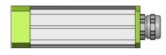 Salamnder dimM.jpg