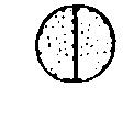 Spets4 - Illustration
