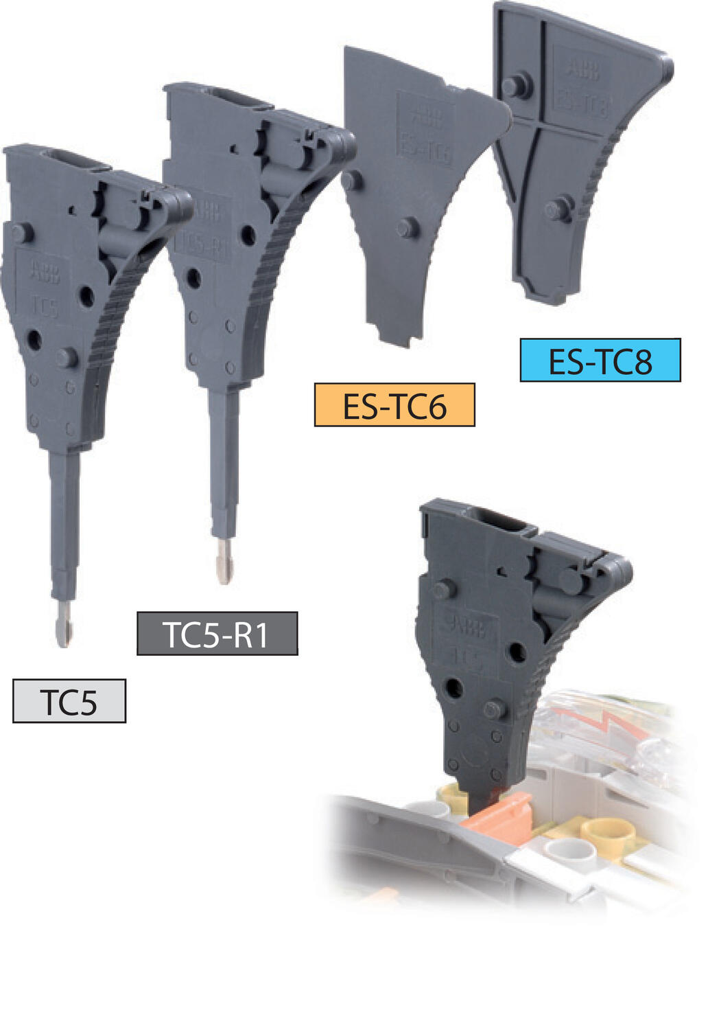 TC5 - foto2