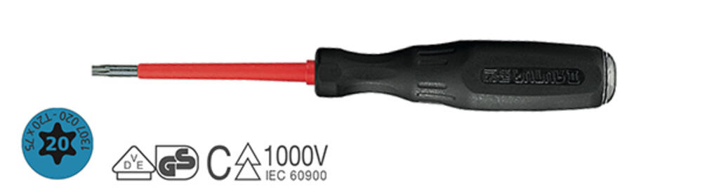Torx.png